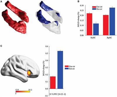 Frontal Contribution to Hippocampal Hyperactivity During Memory Encoding in Aging